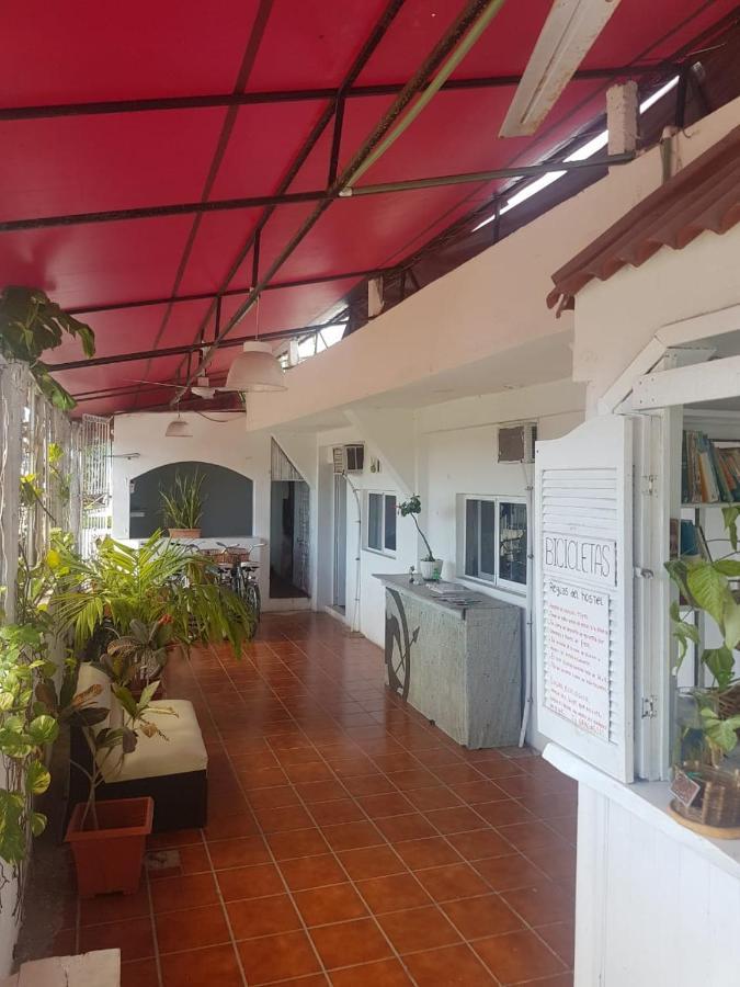 Lobo Inn Tulum Exterior photo