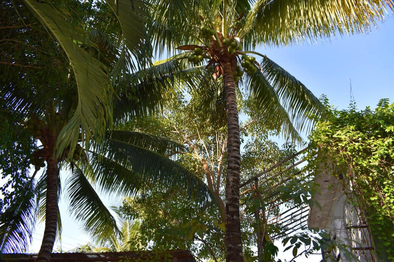 Lobo Inn Tulum Exterior photo