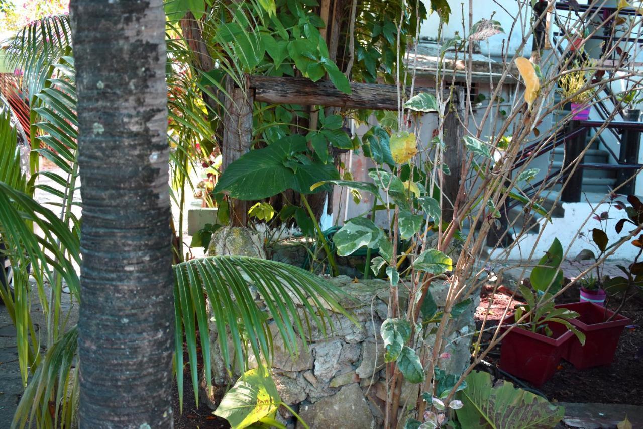 Lobo Inn Tulum Exterior photo