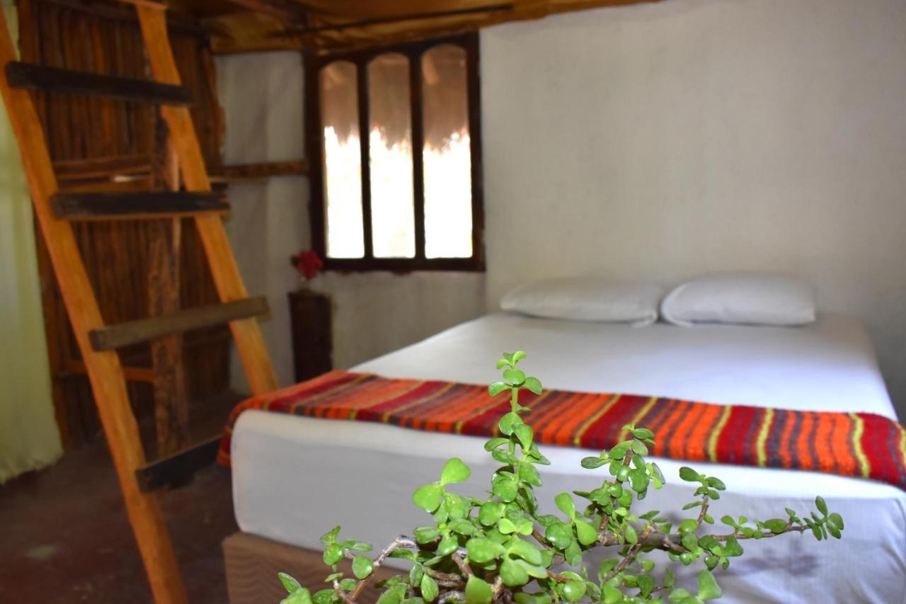 Lobo Inn Tulum Exterior photo